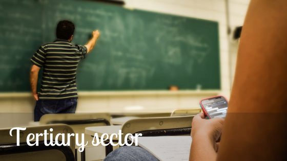 Tertiary economic activity: definition, background, examples