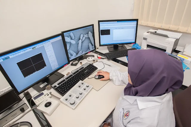 scanning electron microscope 2223457 1920