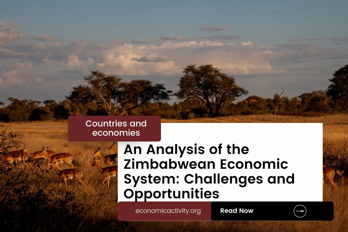 An Analysis of the Zimbabwean Economic System