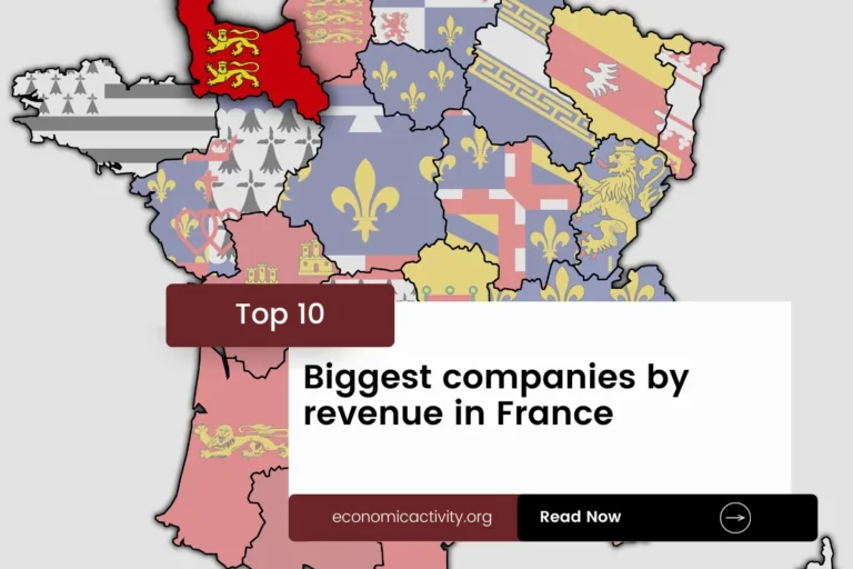 Top 10 Biggest companies by revenue in France (2023 data)