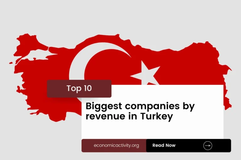 Top 10 Biggest companies by revenue in Turkey (2023 data)