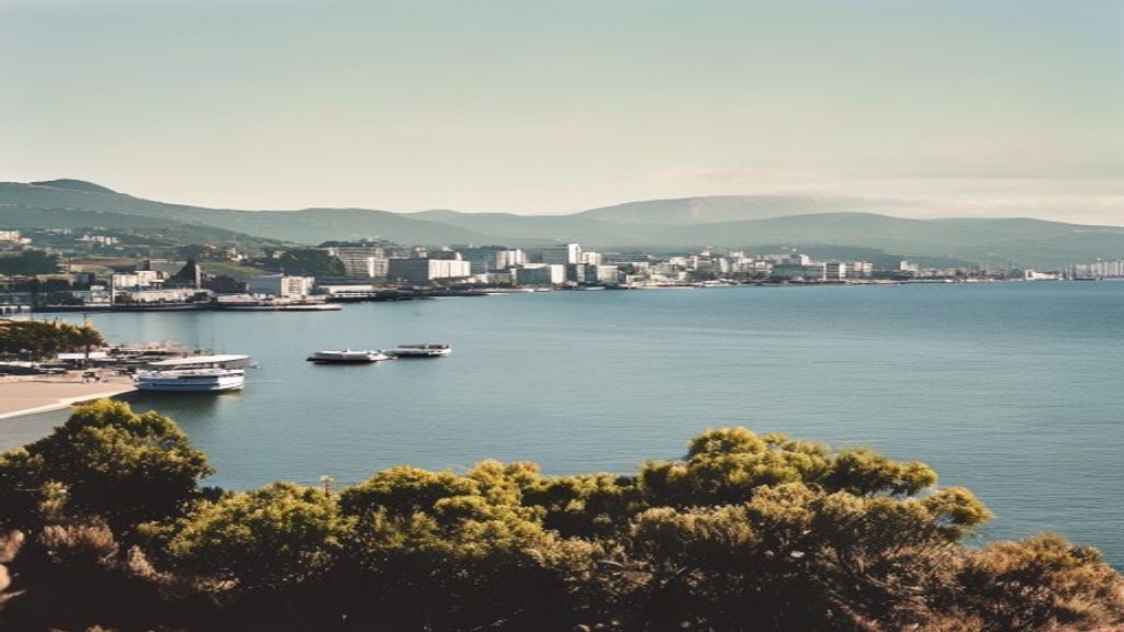 Wellington harbour illustrating the New Zealand economic system