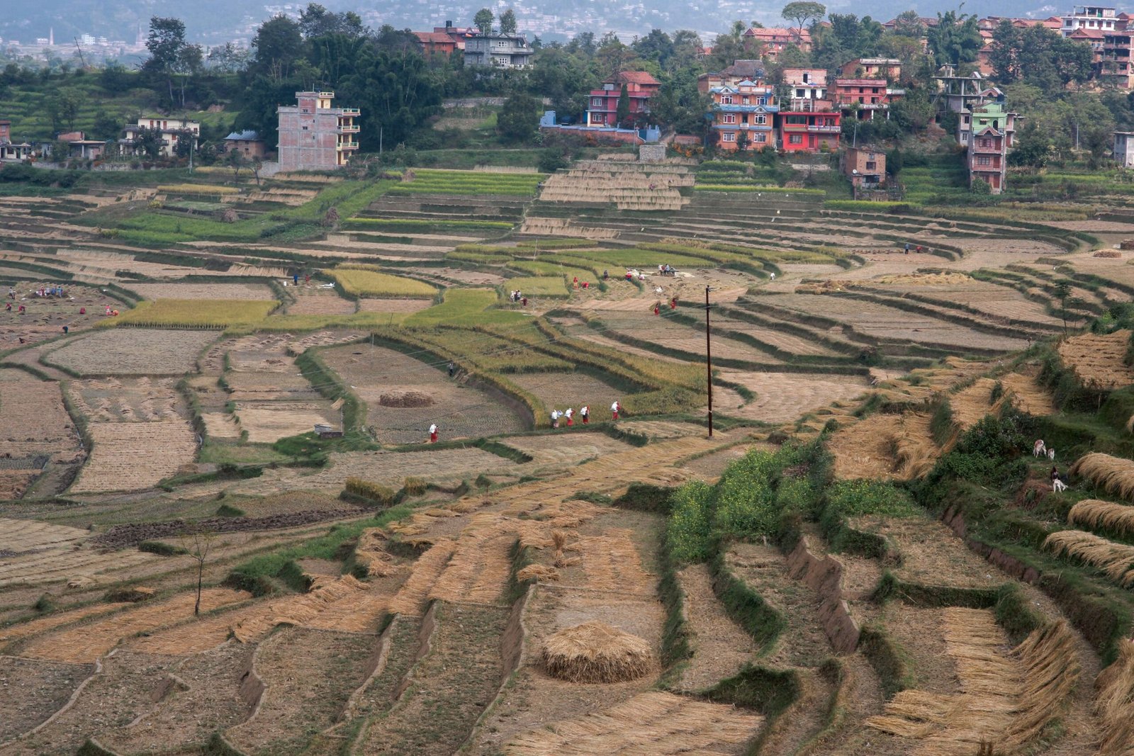 Aerial view of terraced agricultural fields where farming remains a major share of employment