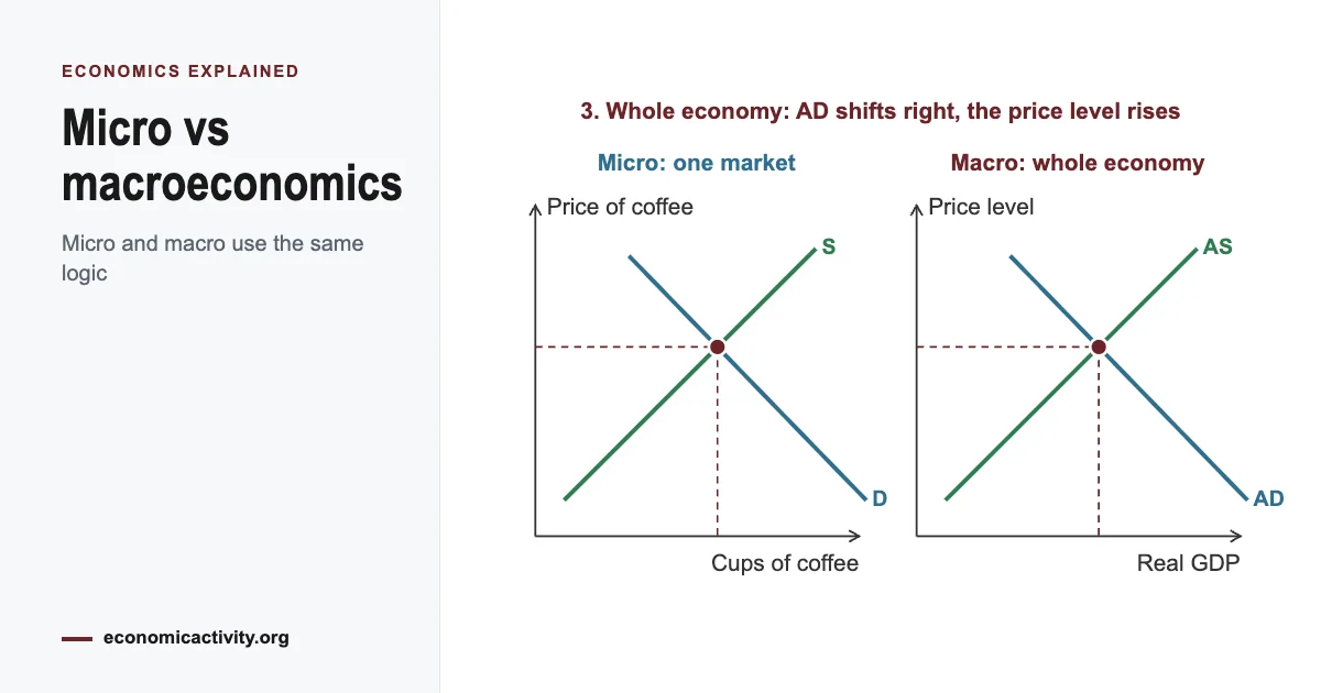 Microeconomics vs Macroeconomics: Key Differences