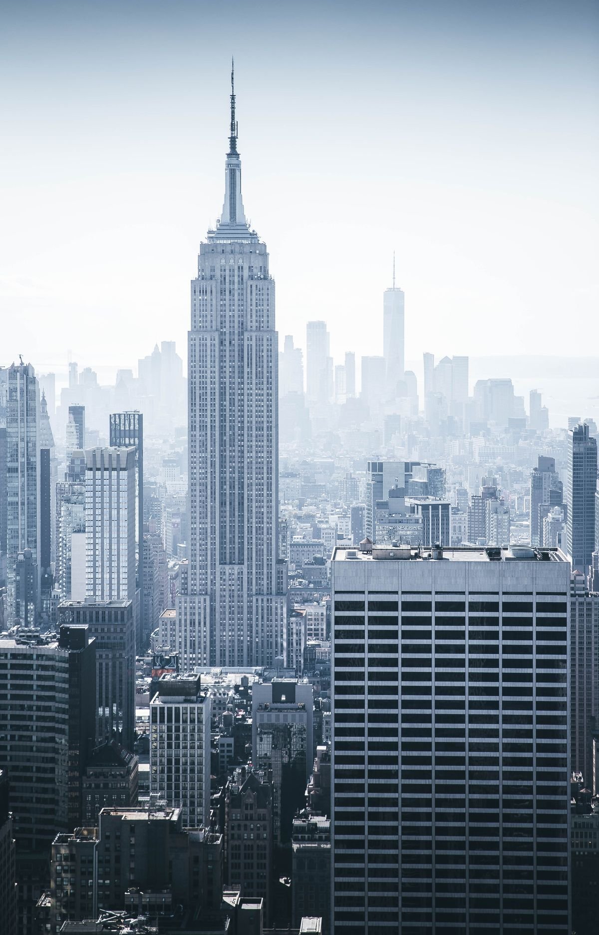 Aerial view of the New York City skyline representing the world largest economy
